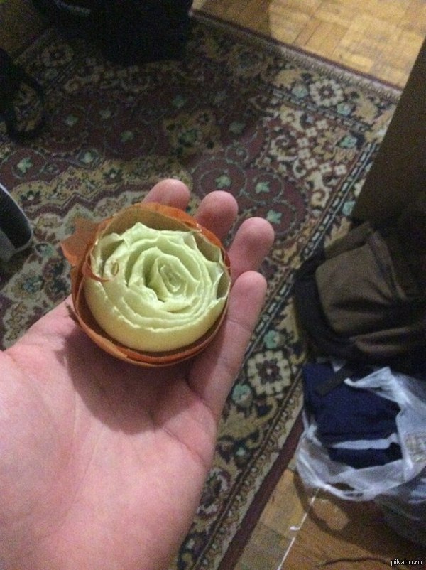 Роза луковая..Лука розовая?