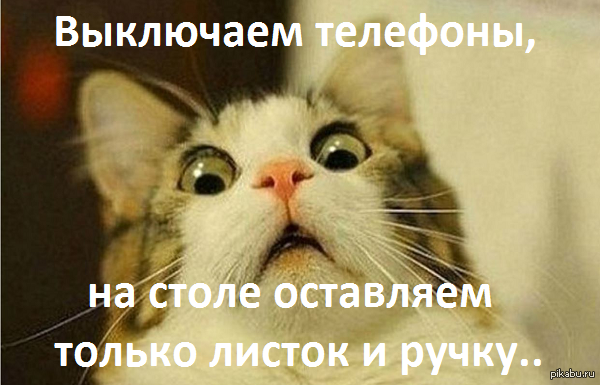 Саша Гозиас перебирать бы пальцами твои волосы, рано утром, где-то перед завтрак