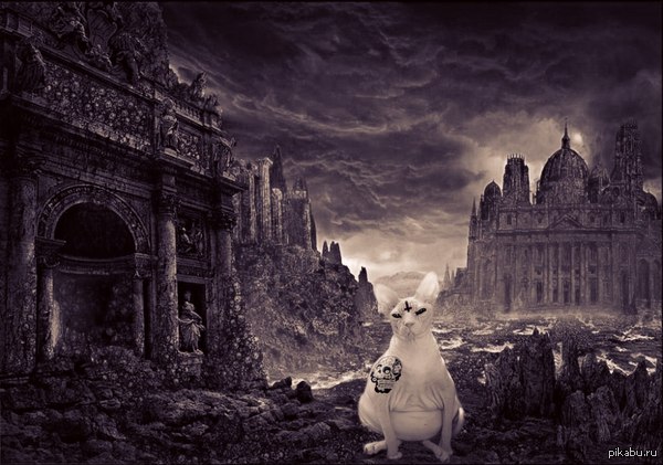  2010 ,  &quot;&quot;  .