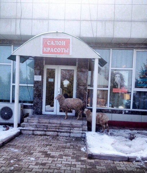 � ���������!