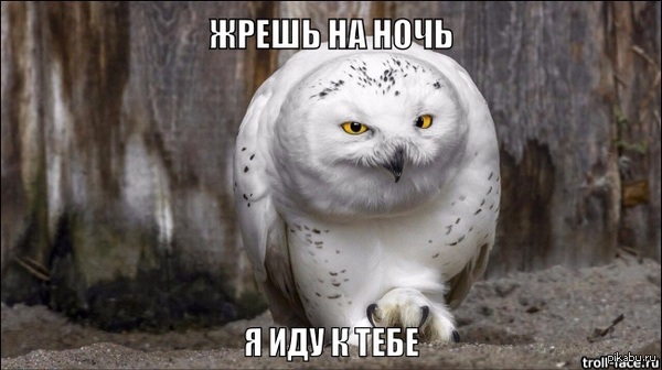 ���� �������!