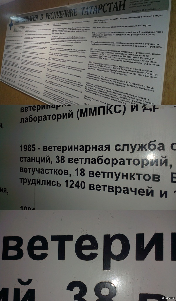 � �������������