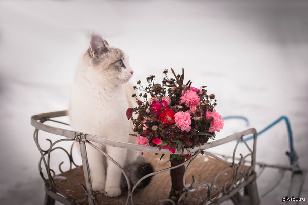 ���� �����.