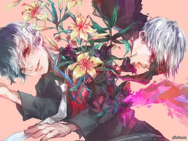 Tokyo Ghoul      ,     ,    .