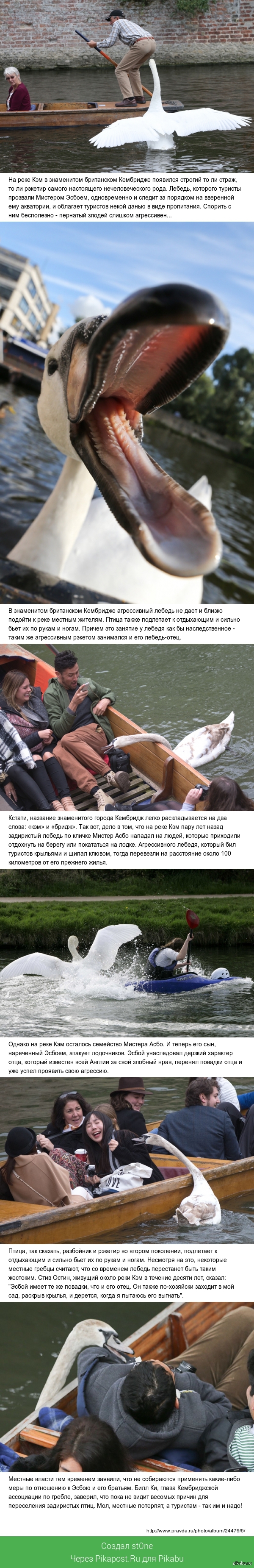 �������� ������ ������������� ��������