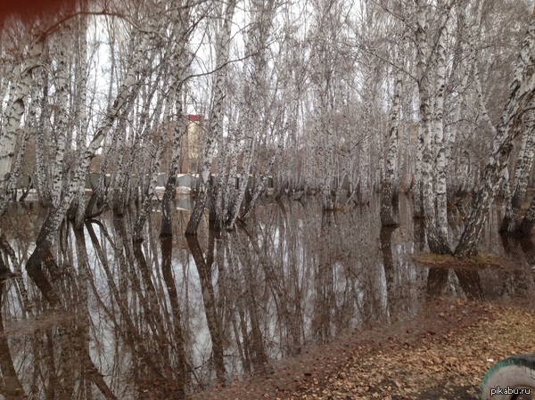 ��� �������� � ����� ������� ���� ������� ����������� ���. ������, ������� ����, �� �� ��������...