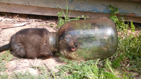 ������� � �����