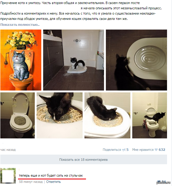 Стульчак и кот | Пикабу