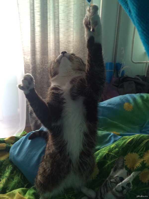 �������� ������� �����?