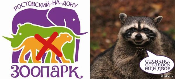 Из ростовского зоопарка похитили пуму, усыпили ее и привязали к столбу. Зачем – неясно. Пума, кстати, с официального логотипа зоопарка.