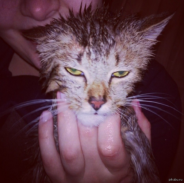 ���� ������..