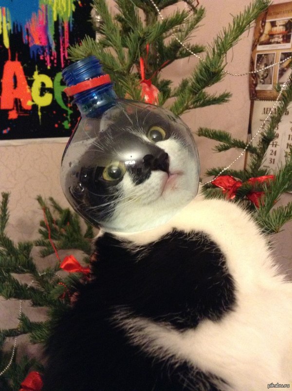 ��� ��� ���� ���� ����� �� ��� ������������