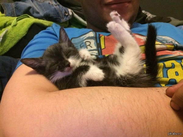 Маленький Андрюша.