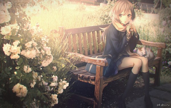 MS INS&amp;#916;NITY