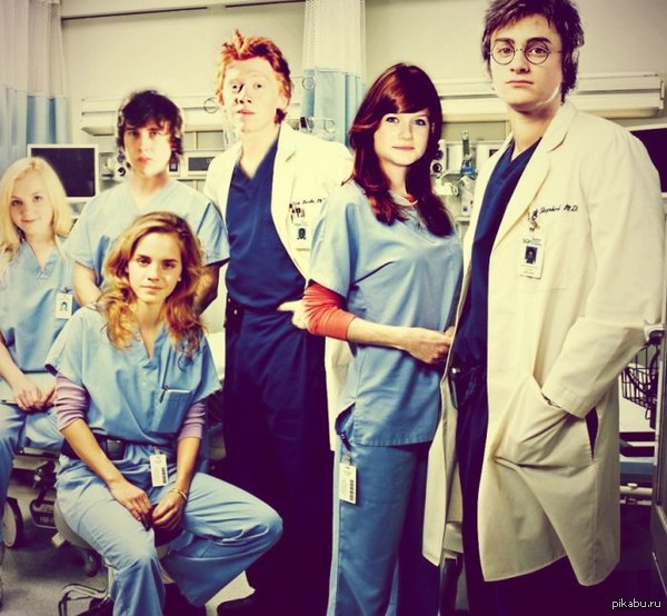 Анатомия Поттера