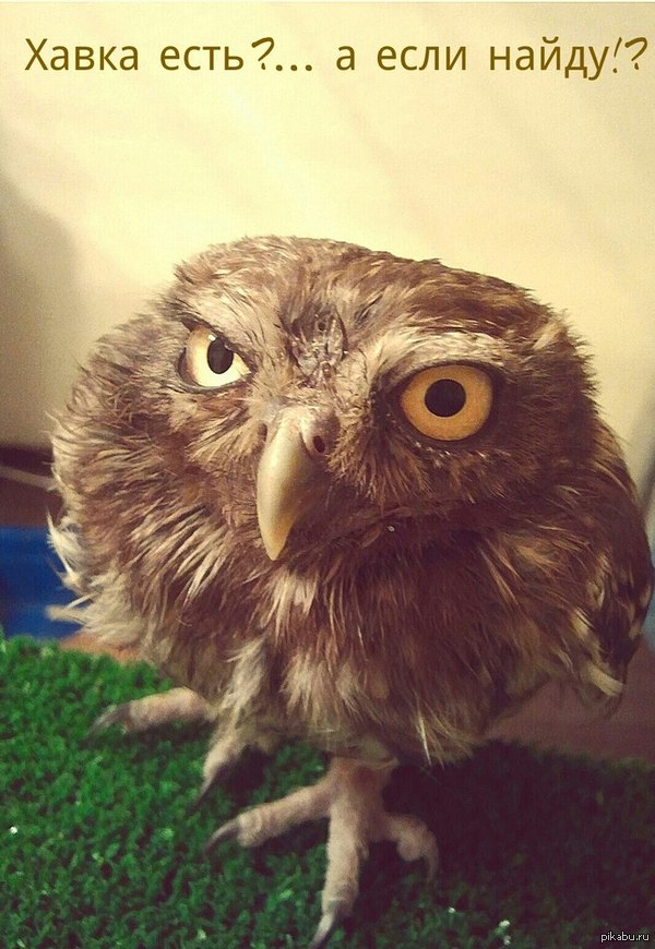 ���-����