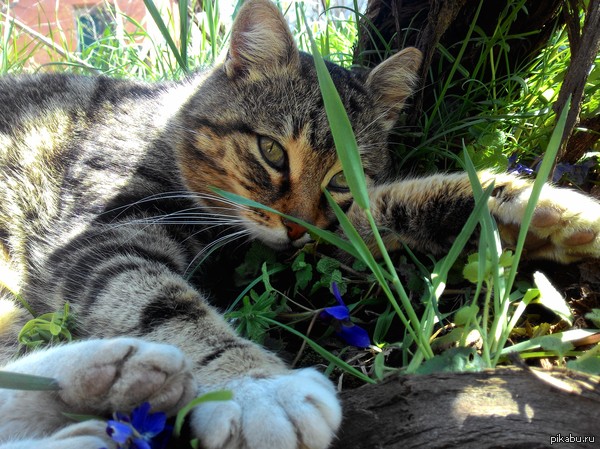 ���������