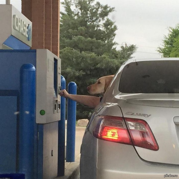 ������� ����� �����������