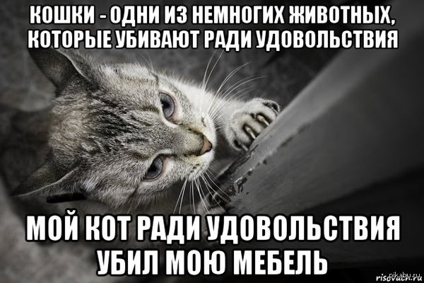 Типичный хищник