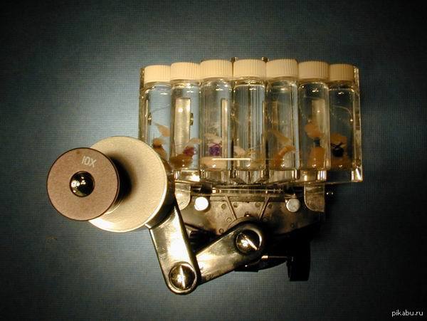 ����� ������ � ���������� �������� ������ �����, ������� ����� ���������, ����� ��� �� ����� ������ ������