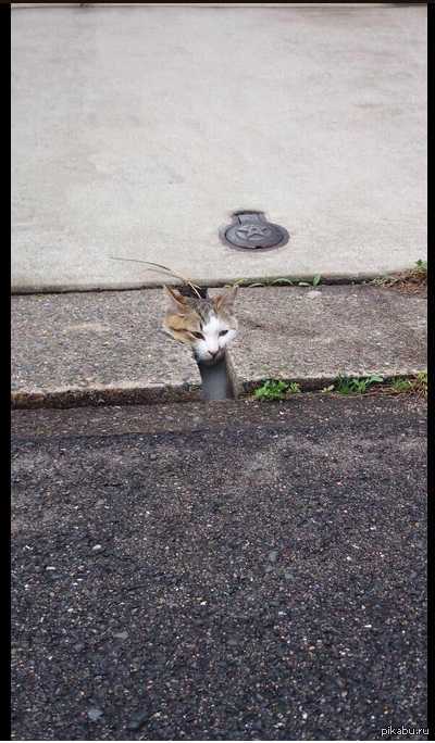 помогите мне