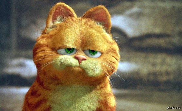 � ���� ���� �������� ����������� ��� 37!