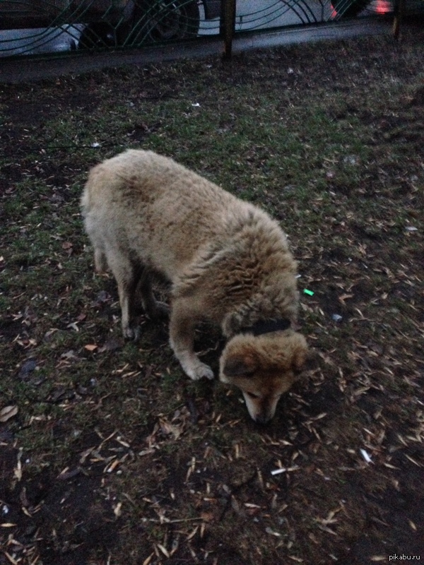 �������� ����� �������, ��������� � �������, ������ � ������ ��������� �� ���� �������� ����.