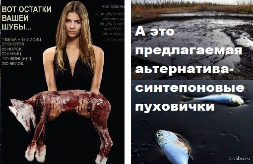 К вопросу об экологии и жалости.