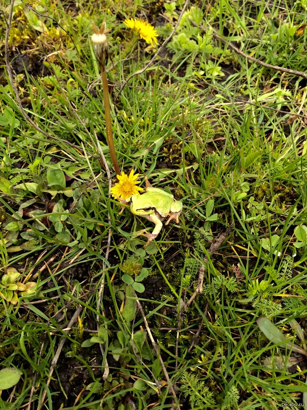 ��� � ������ �������, � �� �������� ����� ���!