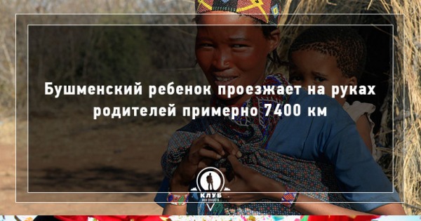 Традиции и обычаи русского народа. Чуваши внешность. Народы сибири ненцы. Культура башкир. Сообщение о традициях народов.