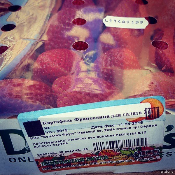 Новый вид Картошки. | Пикабу