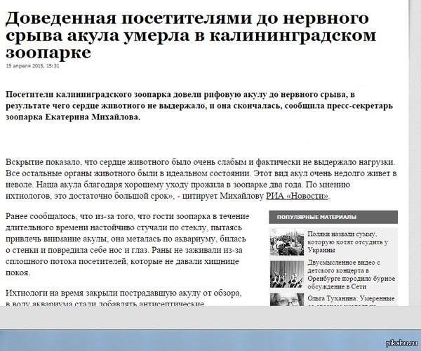 Помните акулу которую довели до нервного срыва?