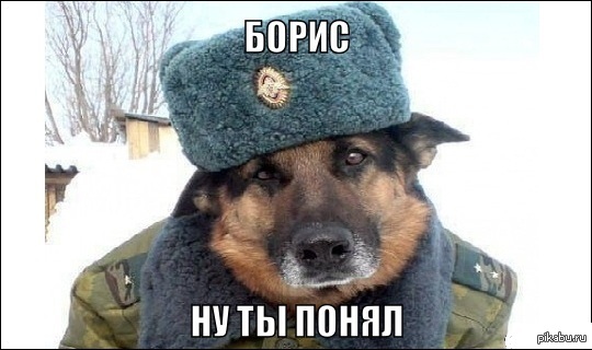   ! 