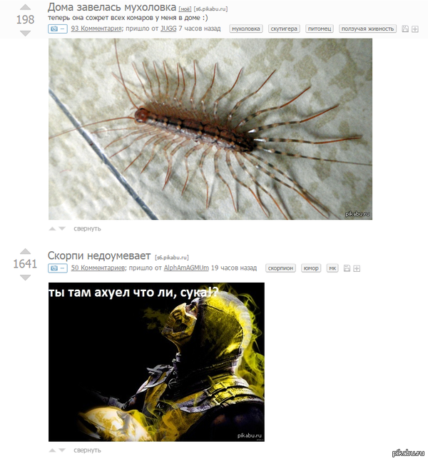 ��������� ����� ������