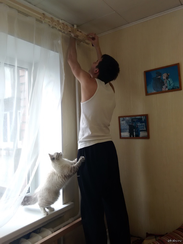 Хозяин! Не падай!