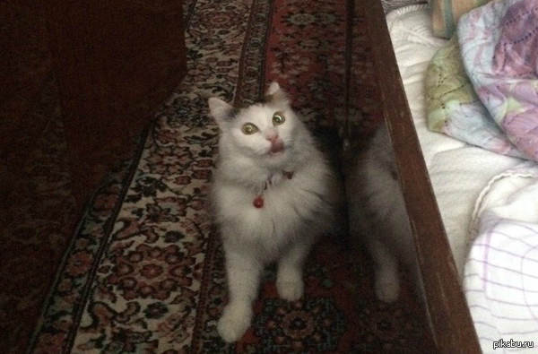 �� ����� � ��� ��� �� �� ���...