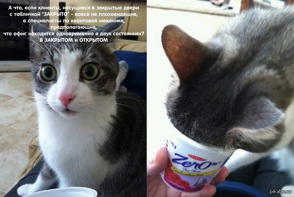 ���� � ��������� � ��������