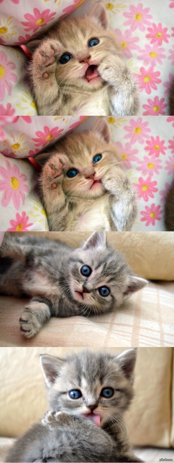 ������ ���������������)