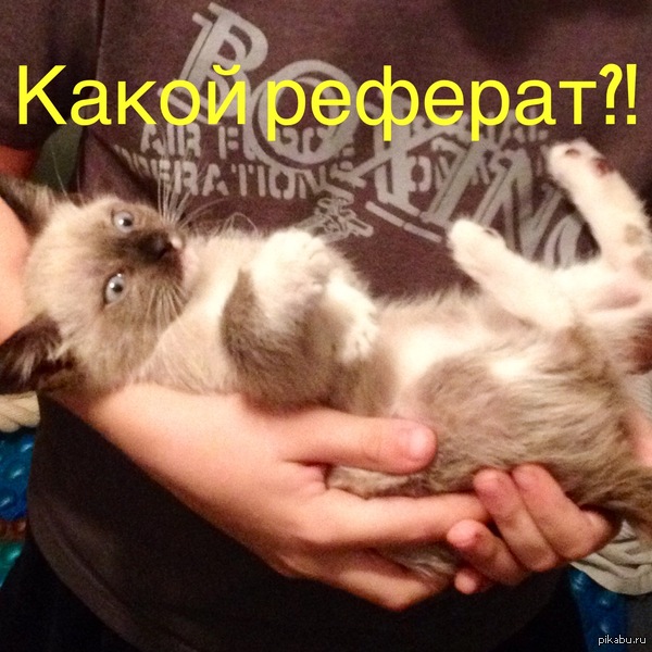 �������-�������