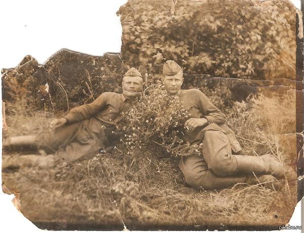 ����� ������ � ������.