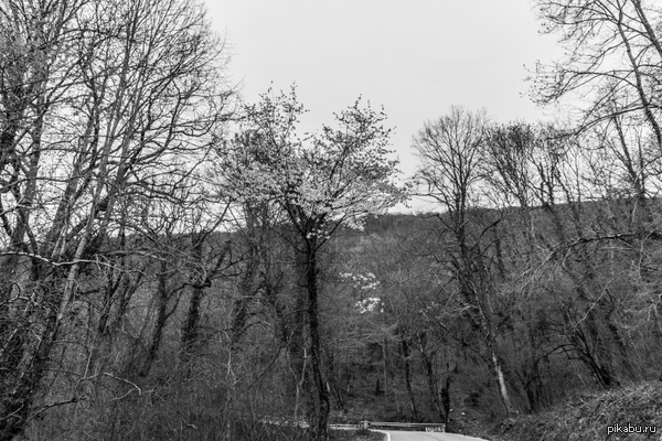 ��� � �\�