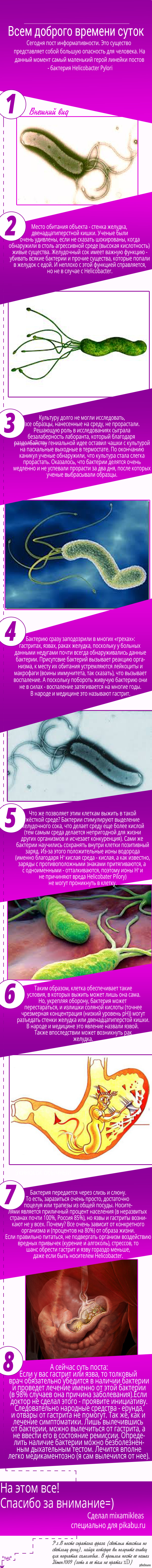    .  12.   -     Helicobacter Pylori.   ,     8.    P.s.    @Dimon1009