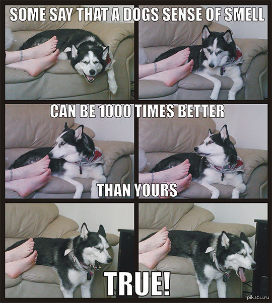 &quot;- ,      1000   .   !&quot;