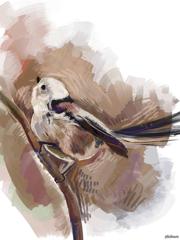 ������������� ������ ��� ���������