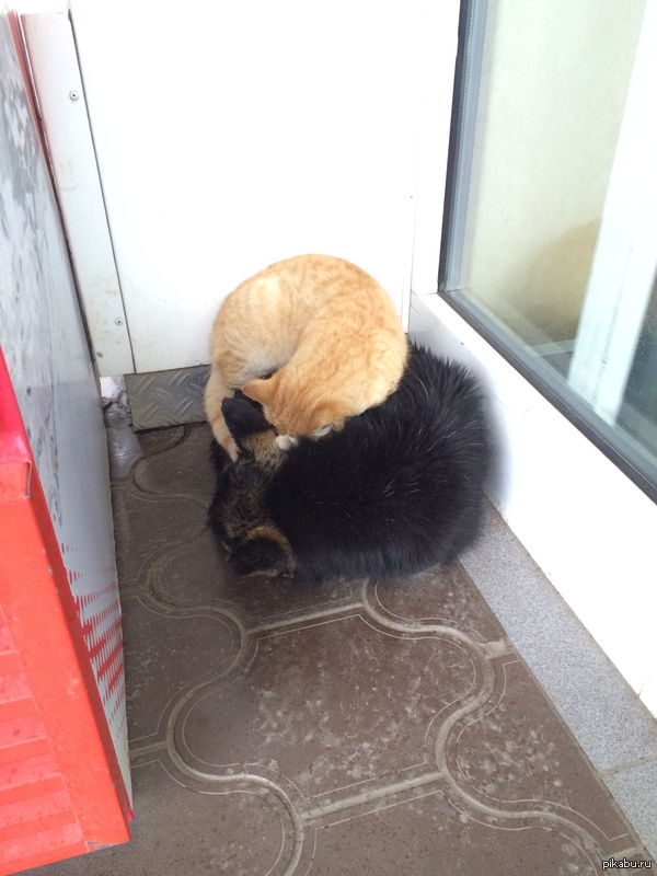 ������ �������....!