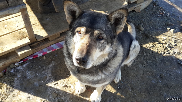 �������� ��������� ������ �� ����� �����