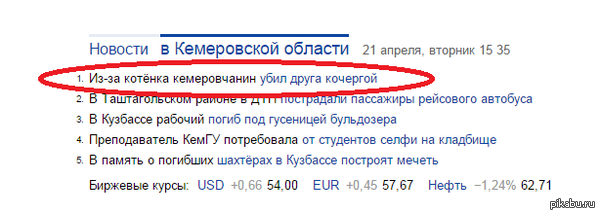 Любитель котиков