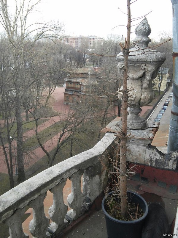 �������� ���