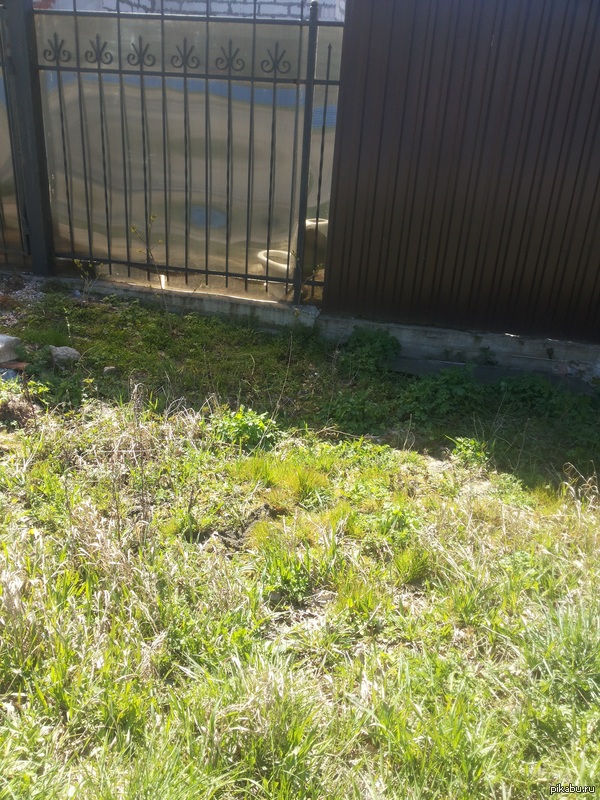 Иду себе спокойно и тут...