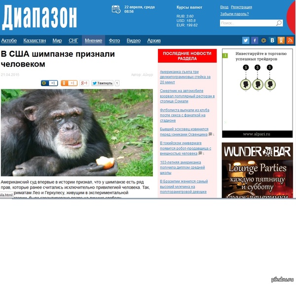             !  http://www.diapazon.kz/world/71722-v-ssha-shimpanze-priznali-chelovekom.html